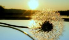 关于人生的人生感悟句子