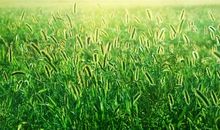 天气降温问候短信