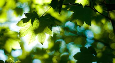 30.微风拂过我的上脊，露水洒落在松树上，六月凉。我想借用老和尚的双白鹤在蓝云的深处so翔。