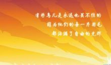 关于不完美的名言