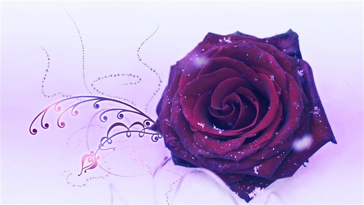 发自内心的话语向世界上所有妇女