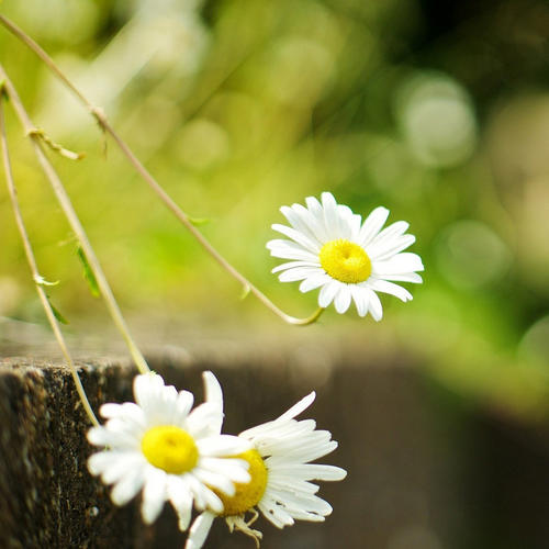 亲情深情对望句子