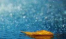 关于雨的优美句子