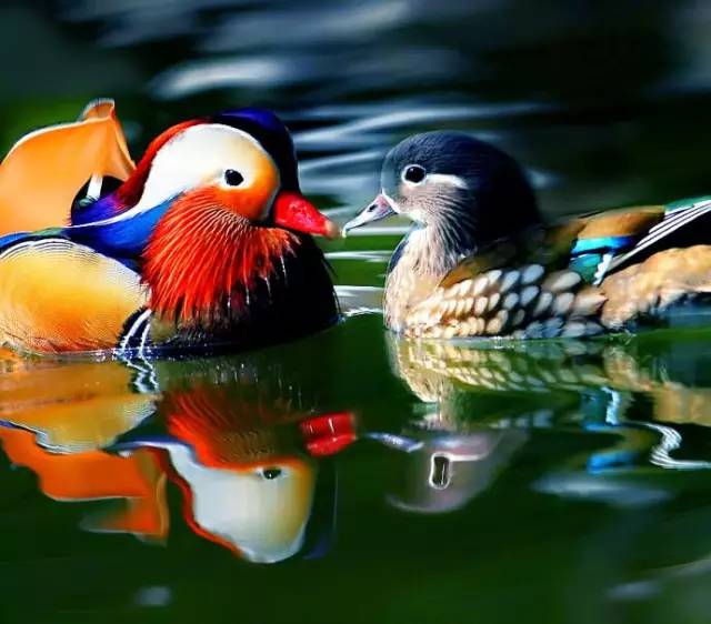 令人震惊的鼓舞人心的句子（图片）3