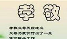 形容不孝顺的句子