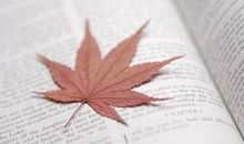 关于成长的优美句子