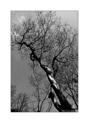 11.下着毛毛雨，滋润了一切，倾倒了忧虑。洗净了世界，迎来了新鲜感；驱散忧郁，快乐的心情；点缀风景，丰富画卷。愿您在雨中享受浪漫，过上幸福的生活！