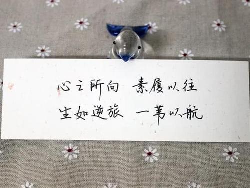 七中提琴年报价