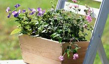 2020年最火的发朋友圈的句子 微博最火句子