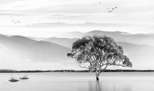 白居易的诗句 赞美江南的美好景色