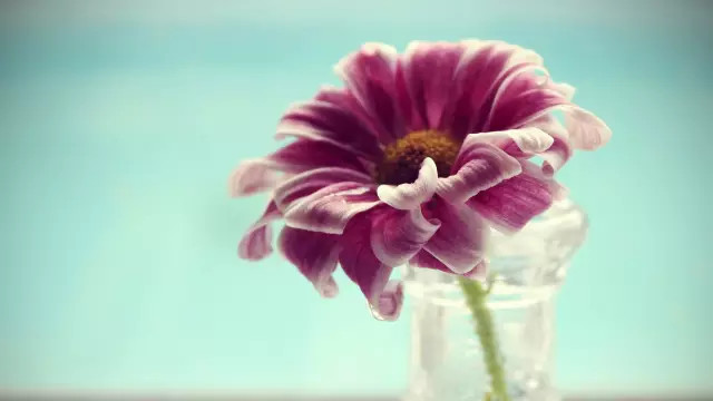 令人震惊的鼓舞人心的句子（图片）1