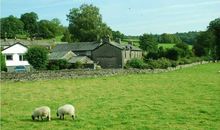 抖音热门句子亲情