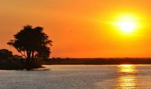 亲情相互理解的句子