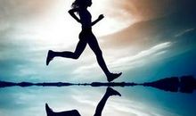 关于坚持的优美句子