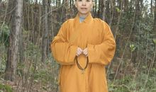 释道成禅语50句