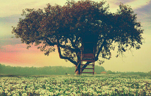 令人震惊的鼓舞人心的句子（图片）