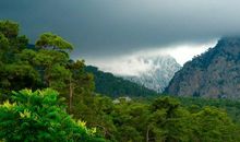 佛语禅心经典语录