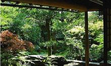 夏天景物描写的诗句