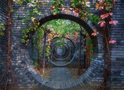 夏天景物描写的诗句 1