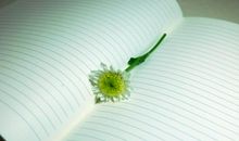 适合发朋友圈亲情旅行的句子