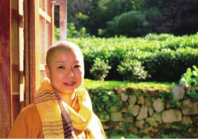 吴M大师的五十句禅语