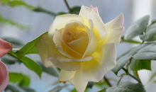 最激励人的座右铭