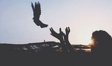 形容人品差的句子