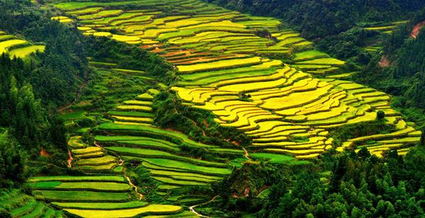 最经典的座右铭