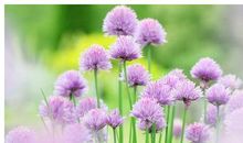 关于懂得变通的名言