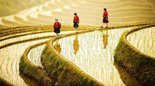 本文来自：Duanmeiwen.com（www.duanmeiwen.com）有关详细的源参考，请访问：https://www.duanmeiwen.com/haoju/44942.html