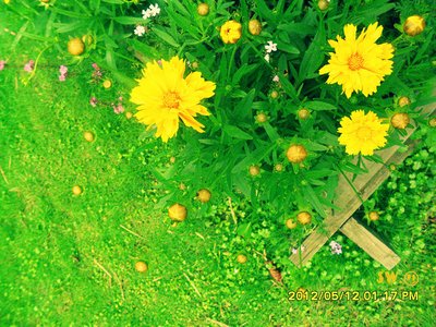 一些鼓舞人心的简短句子