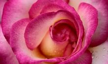 2020最流行个性签名