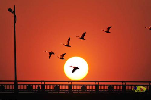 关于夕阳的诗句 落日与黄昏唯美诗句 1