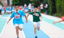 运动会口号新颖有诗意