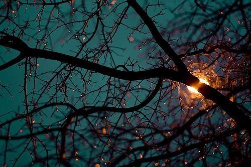 伤感又撕心裂肺心痛的句子