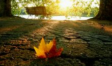 我们这一生，要走很多条路