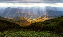 有关诚信的座右铭