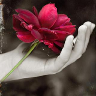 亲情的羁绊相关句子