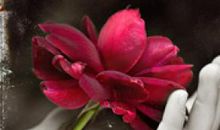 亲情的羁绊相关句子