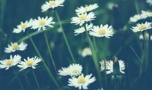 有关道德的座右铭