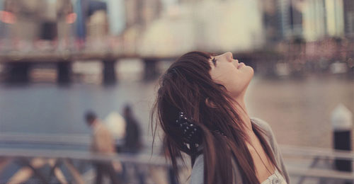 动机句子第一期