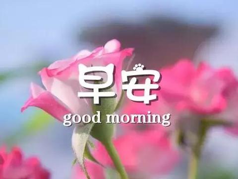 2020全新的早安句子 早上吸引朋友圈的句子