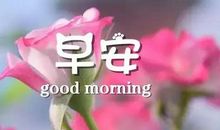 2020全新的早安句子 早上吸引朋友圈的句子