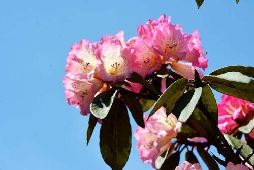 诗里描述亲情的句子 2