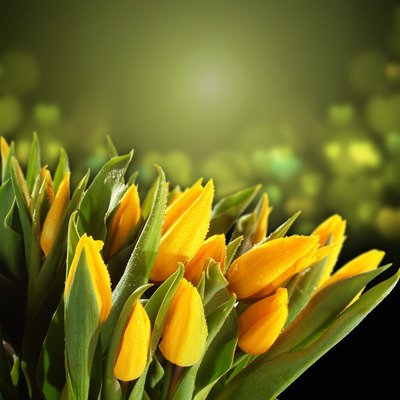 关心领导的问候短信 2