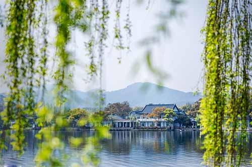 诗里描述亲情的句子