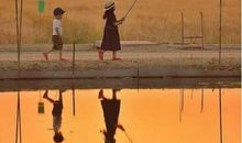 感慨亲情凉薄的句子