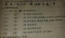 关于虚伪的句子