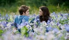 对红颜知己说的话