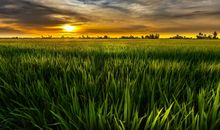 乡村自然风光的诗句